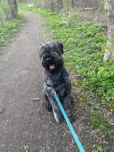 00-07-57-816_b68d1679-30b1-46ed-b25e-f386951ec6bd