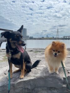 19-36-18-262_a399c006-49d6-4b24-a07c-453639a064b7