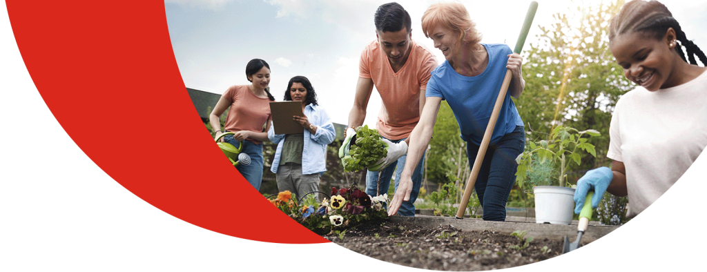 A photo of neighbours planting and working in a garden together.