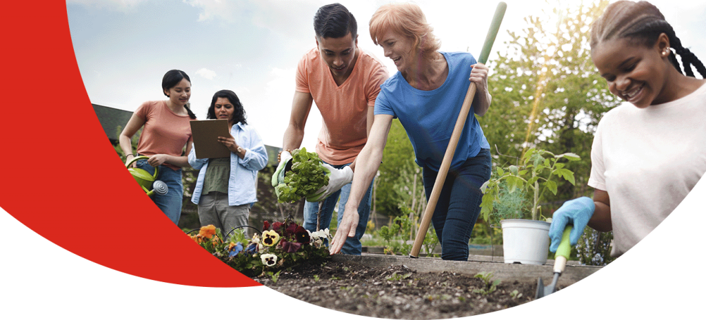 A photo of neighbours planting and working in a garden together.